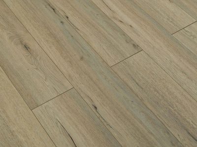 Alternative view of TF6201-F | Clover