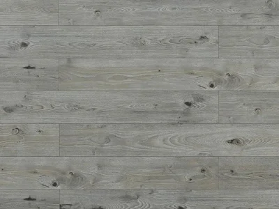 TF8003 | Summer Hare