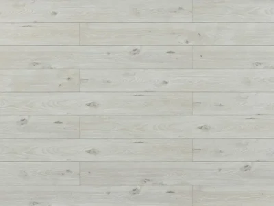 Alternative view of TF8004 | Chrysalis