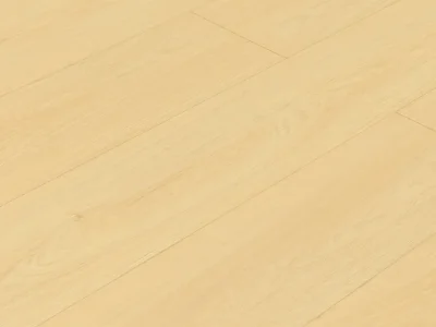 Alternative view of TF8104 | Dune